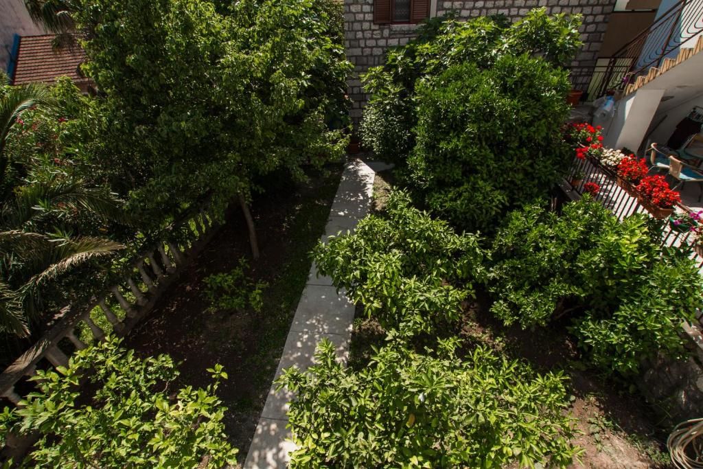 Отель Hotel Alkima Котор