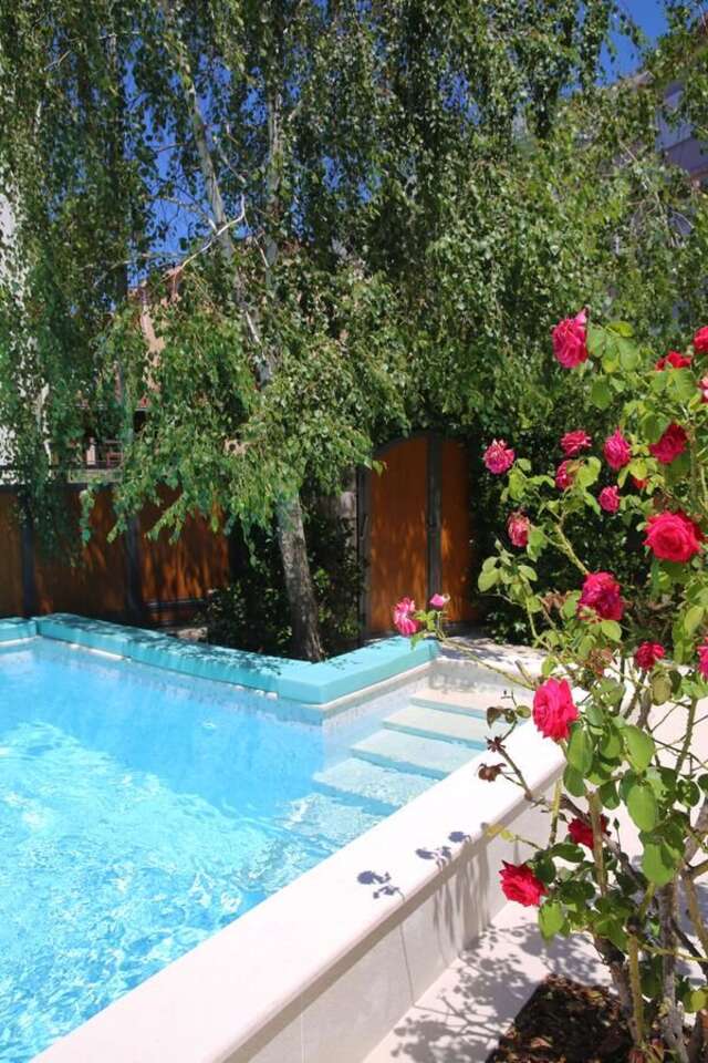 Отель Hotel Alkima Котор-5